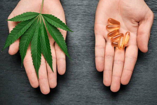10-WAYS-CBD-CAPSULES-CAN-HELP-TO-ALLEVIATE-PAIN